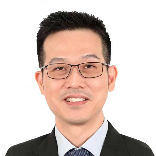 Dr. Terry Teo Hong Lee